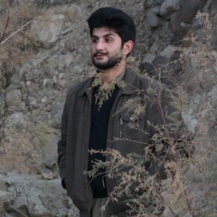 syed shah