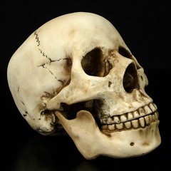 Croc - LockJaw Freestyle Feat Kreative