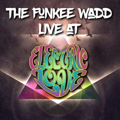 Live At Electric Love Music Festival