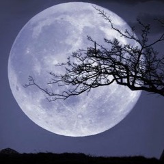 Days And Moons
