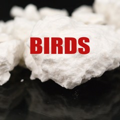 Cam - Birds (Prod. by michael pineda)