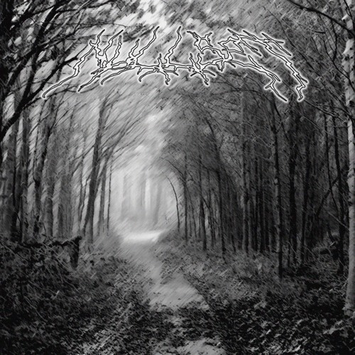 into the forest