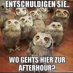 HilfeIch.com - Feiergeier