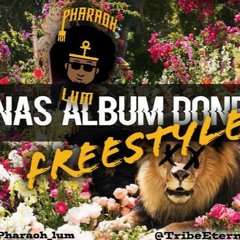 ( Here. Come. Lum.)Freestyle