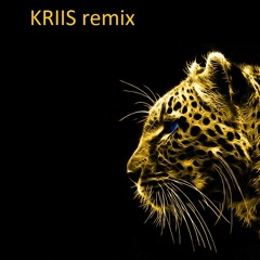Adventure Club - Gold (KRIIS Remix)