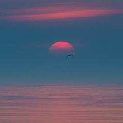 Pilgrim And The Bridge
