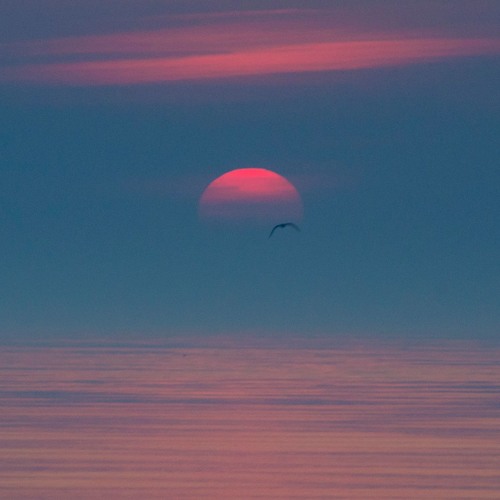 Pilgrim And The Bridge