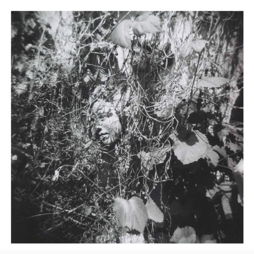 Tim Mislock - A Conception Of Memory