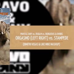 Pavo & Zany Vs DV&LM Vs Borgeous & DVBBS - Left To The Right Vs Stampede (DV&LM MashUp)