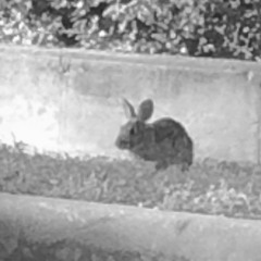 Easementh / Bike All Molten - Haunting session