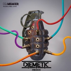 Dr. Meaker - Wanna Feel Love Ft. Yolanda (Diemetic Remix)
