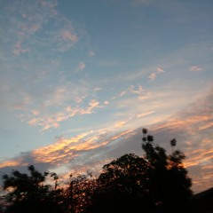 Ella no tiene la culpa