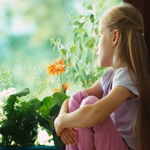 موسيقى.. الـربيـــع. فريد الاطرش