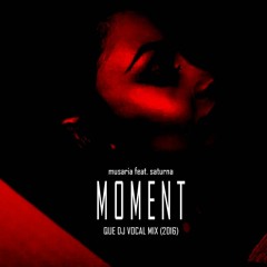 Musaria Feat. Saturna - Moment (que_dj vocal mix2016)