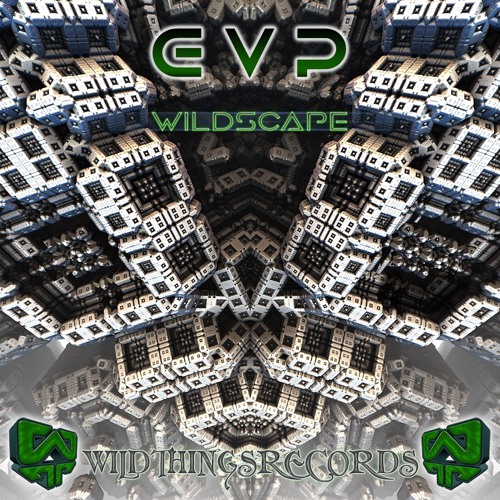 Creative Field - EVP - Wildthings Records 45sec