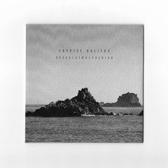extract. Coppice Halifax - Sphere "Urceolatmospherion" Album | ROHS!