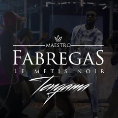 Fabregas Le Metis Noir - Tengama