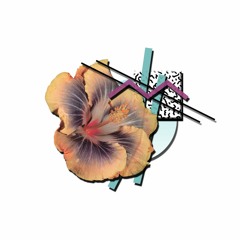 VaporFunk