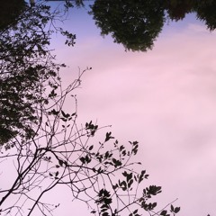 La Machine À Gazouiller