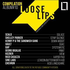 Georg Bigalke - Pinnt (Loose Lips Compilation Album #10 in aid of the Refugee Community Kitchen)