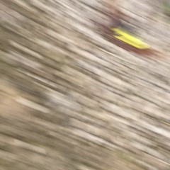 The Pain Of Leaving 10/01/16