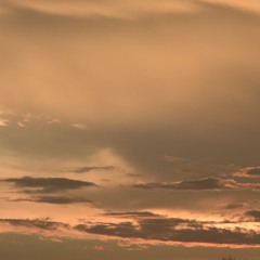 skydawg