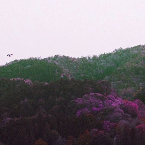 Marisa Anderson - Into The Light