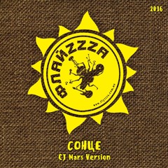 FlyzZza - The Sun (ФлайzZzа - Сонце (CJ Mars version))'2016