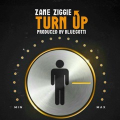 Zane Ziggie Turn Up