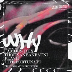 Flash - Why Ft. Famous Dex Thouxanbanfauni & Lite Fortunate (Prod.Sega)