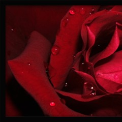 و الله زمین برای من جای قشنگی نیست