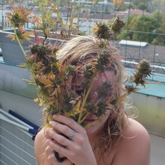 KUMBIA mash up electro