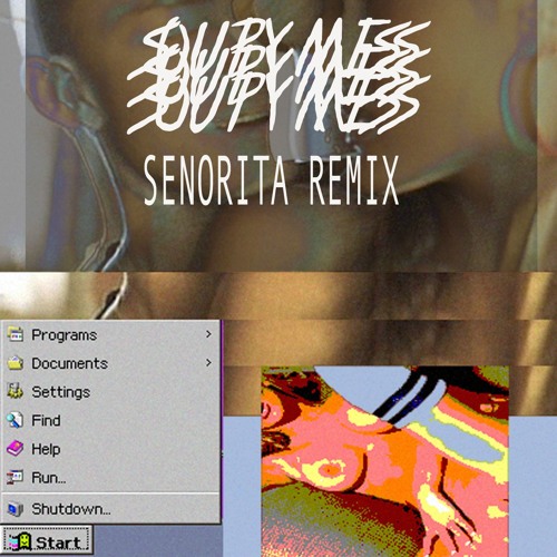 Senorita (soupy mess boootnremix