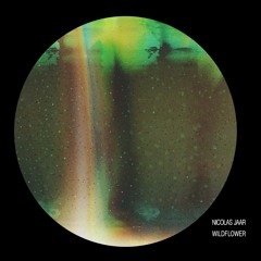 Nicolas Jaar - Wildflower