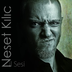 02.NesetKILIC - Sanayi Deposu (2009)