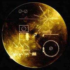 코스모스 돈키호테 11호