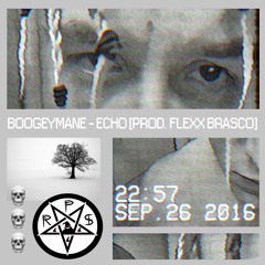 BoogeyMane - Echo [prod. Flexx Brasco]   (VIDEO LINK IN DESCRIPTION)