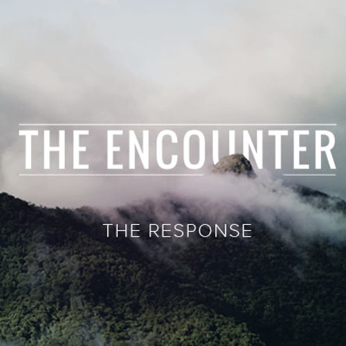 The Encounter - The Response
