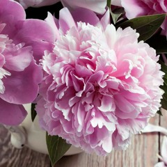 قرأة مميزة للشيخ سعود الشريم