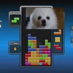 Tetris Main Theme ( Gabe The Dog Remix )
