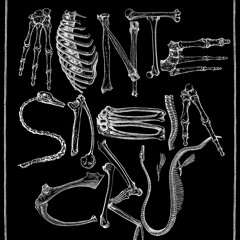Mente Sabia Cru - El Circulo