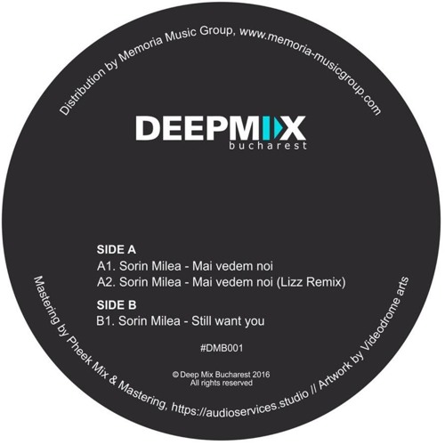 B1. Sorin Milea - Still Want You