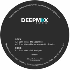 A1. Sorin Milea - Mai Vedem Noi