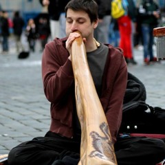 Ondřej plus Woodward - beat box didgeridoo jam