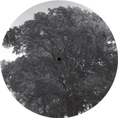 B1. THE ANALOG ROLAND ORCHESTRA - MUSITRONICS DUB -  BaumLPE004