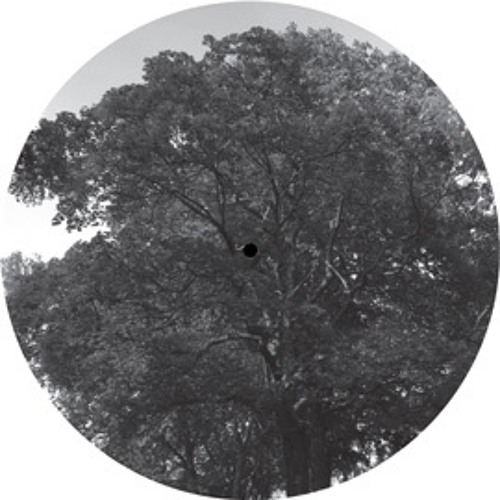 B1. THE ANALOG ROLAND ORCHESTRA - MUSITRONICS DUB -  BaumLPE004