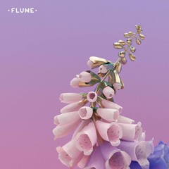 Flume- 'take a chance' slowed down 800%.