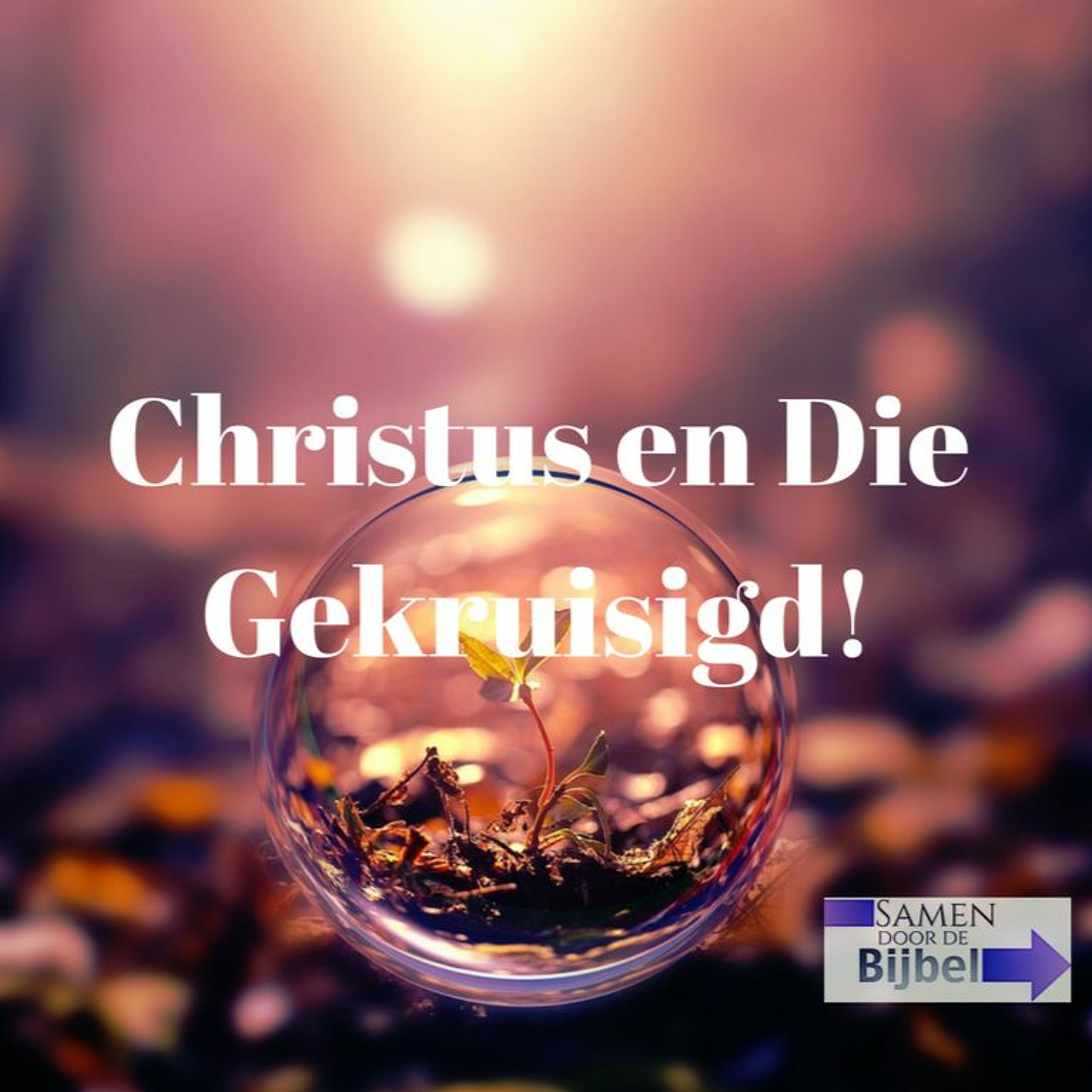 Samen Door De Bijbel