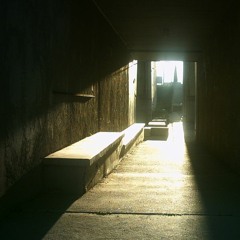 Orhcid Scented Pillow