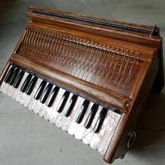 Nam Sankirtana Revolution